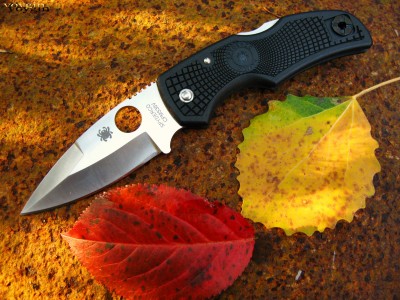 Spyderco Native Knife Wallpaper